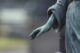 informations-sur-les-options-de-sepulture-cremation-enterrement-obseques